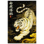 3b8ab209-0ec1-456b-adb2-54c03c945c47