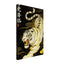 47b84866-2ac7-447d-a30f-50342a2abd7e
